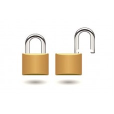 Aloquete de Segurança com Argola