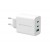 Carregador Conceptronic ALTHEA12W: 65W, Triplo USB, Carregamento Rápido, GaN sem_imagem