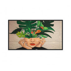 Monitor Philips 55BDL4550D/00: Ecrã 54.6