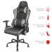 Cadeira Trust GXT 707G Resto Gaming Chair - Grey