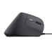 Rato Trust Bayo II Ergonómico USB, 2400 DPI, Vertical, Preto