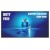 Televisor Philips 55BDL6017P/00, 55 sem_imagem