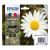 Multipack de Tinteiros Epson 18 para Impressoras XP sem_imagem