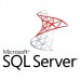 Sistema Operativo Microsoft SQL Server 2019 Enterprise DG7GMGF0FKZV-0004 (2 núcleos, 1 ano) Sistema Operativo Microsoft SQL Server 2019 Enterprise DG7GMGF0FKZV-0004 (2 núcleos, 1 ano)