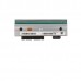 Componente POS Zebra P1058930-012 - Cabeçalho de Impressão Térmica