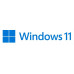 S.O. Windows 11 Profesional 64B
