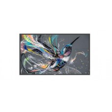 Televisor Philips 43BDL3511Q 43