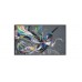 Televisor Philips 43BDL3511Q 43