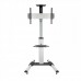 Suporte de Parede Tooq FS1870M-B para Ecrãs 37”-70”