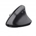 Trust BAYO+ Ergonomic Wireless Mouse BLK Trust BAYO+ Ergonomic Wireless Mouse BLK
