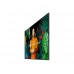 Televisor Samsung QH98C, 98 polegadas, LED, 4K Ultra HD, Wi-Fi, 700 cd/m² Televisor Samsung QH98C, 98 polegadas, LED, 4K Ultra HD, Wi-Fi, 700 cd/m²