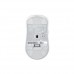 P716 ROG HARPE ACE MINI/WHT