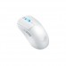 P716 ROG HARPE ACE MINI/WHT