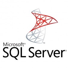 Software Microsoft SQL Server Standard: Licença Perpétua para 2 Núcleos Software Microsoft SQL Server Standard: Licença Perpétua para 2 Núcleos