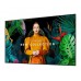 Televisor Samsung QH98C, 98 polegadas, LED, 4K Ultra HD, Wi-Fi, 700 cd/m² Televisor Samsung QH98C, 98 polegadas, LED, 4K Ultra HD, Wi-Fi, 700 cd/m²