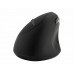 Kensington Pro Fit Ergo Wireless Mouse - rato vertical - 2.4 GHz - K79810WW