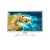 Televisão LG 24TQ510S-WZ: 24 sem_imagem