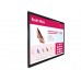 Monitor LCD Profissional Philips 43BDL3651T/00 43