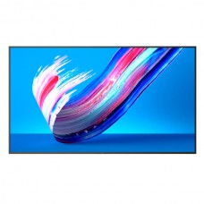 Monitor Profissional Philips 43