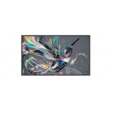 Monitor Philips 65BDL3511Q/00: 65 polegadas, 4K UHD, IPS, 400 cd/m² Monitor Philips 65BDL3511Q/00: 65 polegadas, 4K UHD, IPS, 400 cd/m²